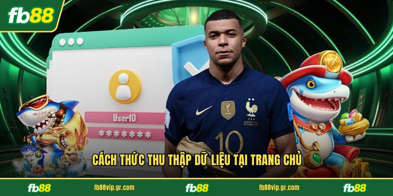 Chính Sách Bảo Mật FB88 Cách thức thu thập dữ liệu tại trang chủ